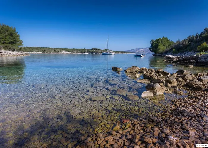 Milla Hvar *